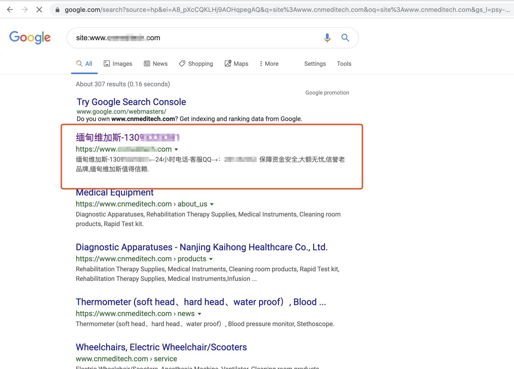 焦點領動外貿建站