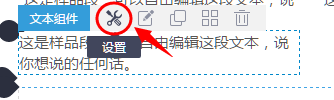 進入文本設置項.png