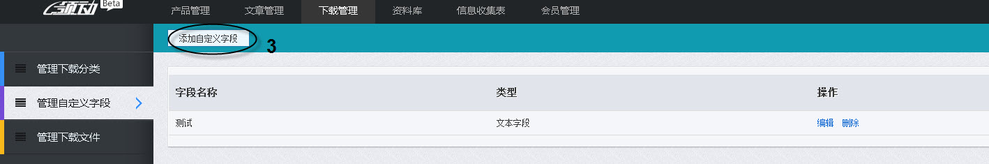 單擊添加自定義字段按鈕
