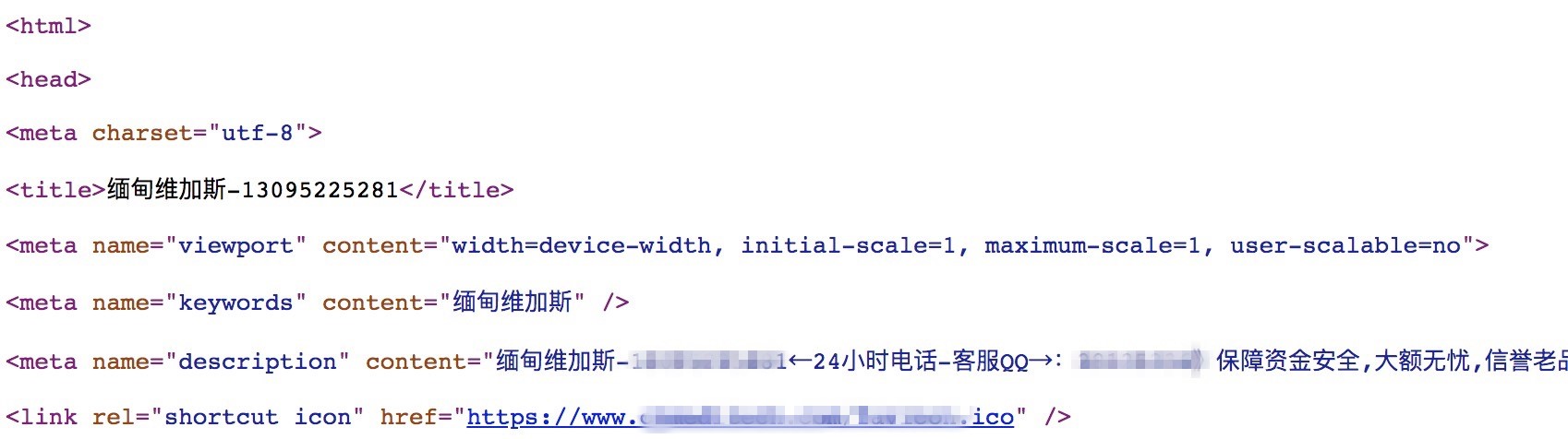 焦點領動外貿建站
